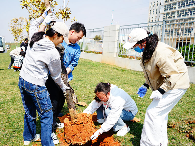 心系公益 生生不息 | 植綠護藍，共筑生態(tài)家園的天壇力量